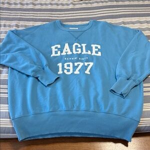 NWOT American Eagle Oversized Crewneck